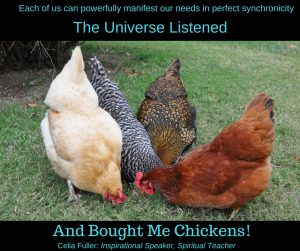 The Universe Listened and Bought me Chickens!